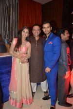 Karan Tacker, Krystal D Souza at Karan Patel and Ankita Engagement and Sangeet Celebration in Novotel Hotel, Juhu on 1st May 2015